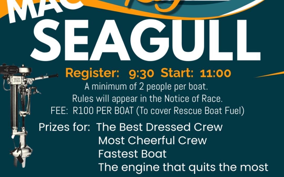 Seagull  Regatta